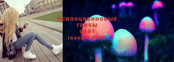 ГАЛЛЮЦИНОГЕННЫЕ ГРИБЫ Арсеньев