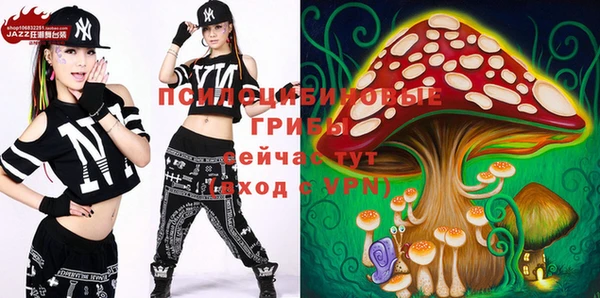 ГАЛЛЮЦИНОГЕННЫЕ ГРИБЫ Арсеньев