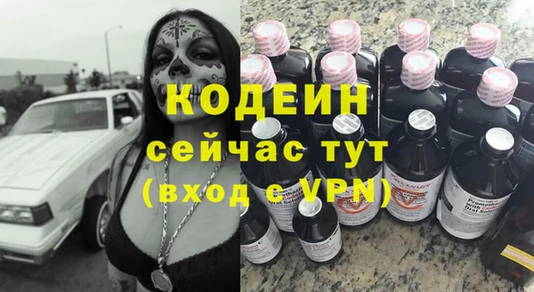 ГАЛЛЮЦИНОГЕННЫЕ ГРИБЫ Арсеньев