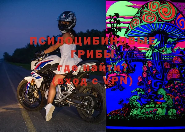 ГАЛЛЮЦИНОГЕННЫЕ ГРИБЫ Арсеньев