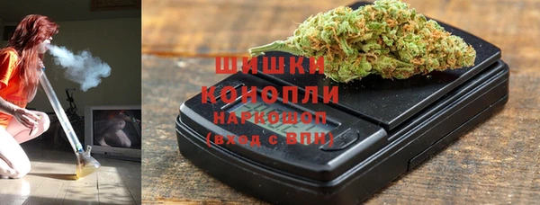 ГАЛЛЮЦИНОГЕННЫЕ ГРИБЫ Арсеньев