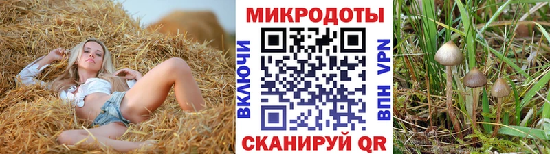 Галлюциногенные грибы ЛСД  Ленинск 
