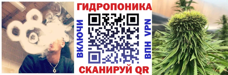 как найти   Ленинск  Шишки марихуана конопля 